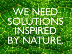 solutions inspired by nature